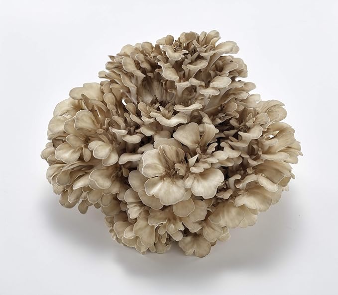 Amazon 秋田 華 まいたけ 生まいたけ 03ゴールドまいたけ 秋田華まいたけ 舞茸 通販