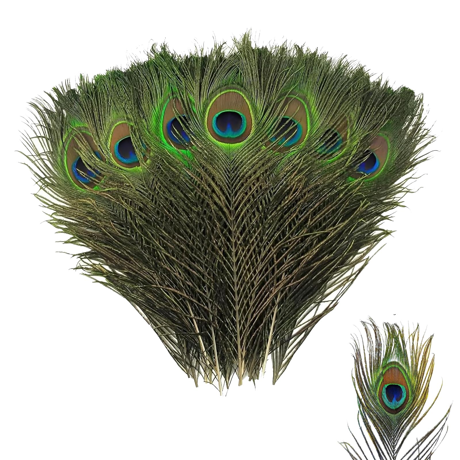 25Pcs Peacock Feathers, Large Feathers, Natural Feathers, Peacock Tail Feather for Wedding, Christmas Party Decoration, Vase Decoration Feathers, Peacock Costume, DIY Art & Craft