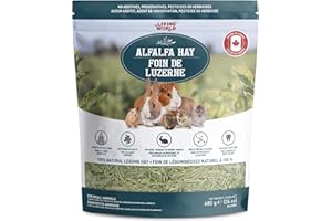 Living World Alfalfa Hay - Large - 680 g (24 oz)