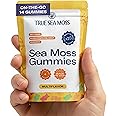 TrueSeaMoss Gummies Sample – 1200mg Irish Sea Moss + Bladderwrack & Burdock Root – Travel-Size, Vegan, Fruity, Gluten-Free – 