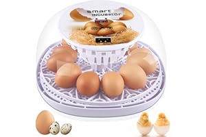 GPENG Egg Incubator, 12 Eggs Incubator with Auto Egg-turning, Auto Water Refill, Auto Temperature Control, LED Egg-lighting, for Hatching Chicken Goose Pigeon Quail Duck