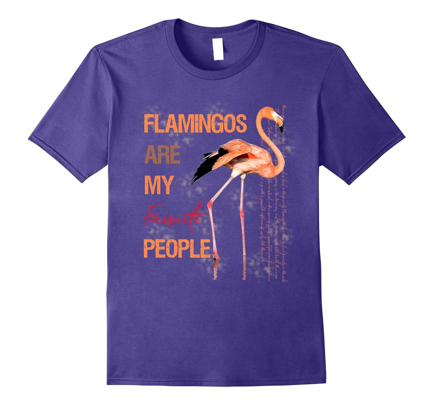 Flamingo Novelty Items Attire: Flamingo Princess T-Shirts-Rose