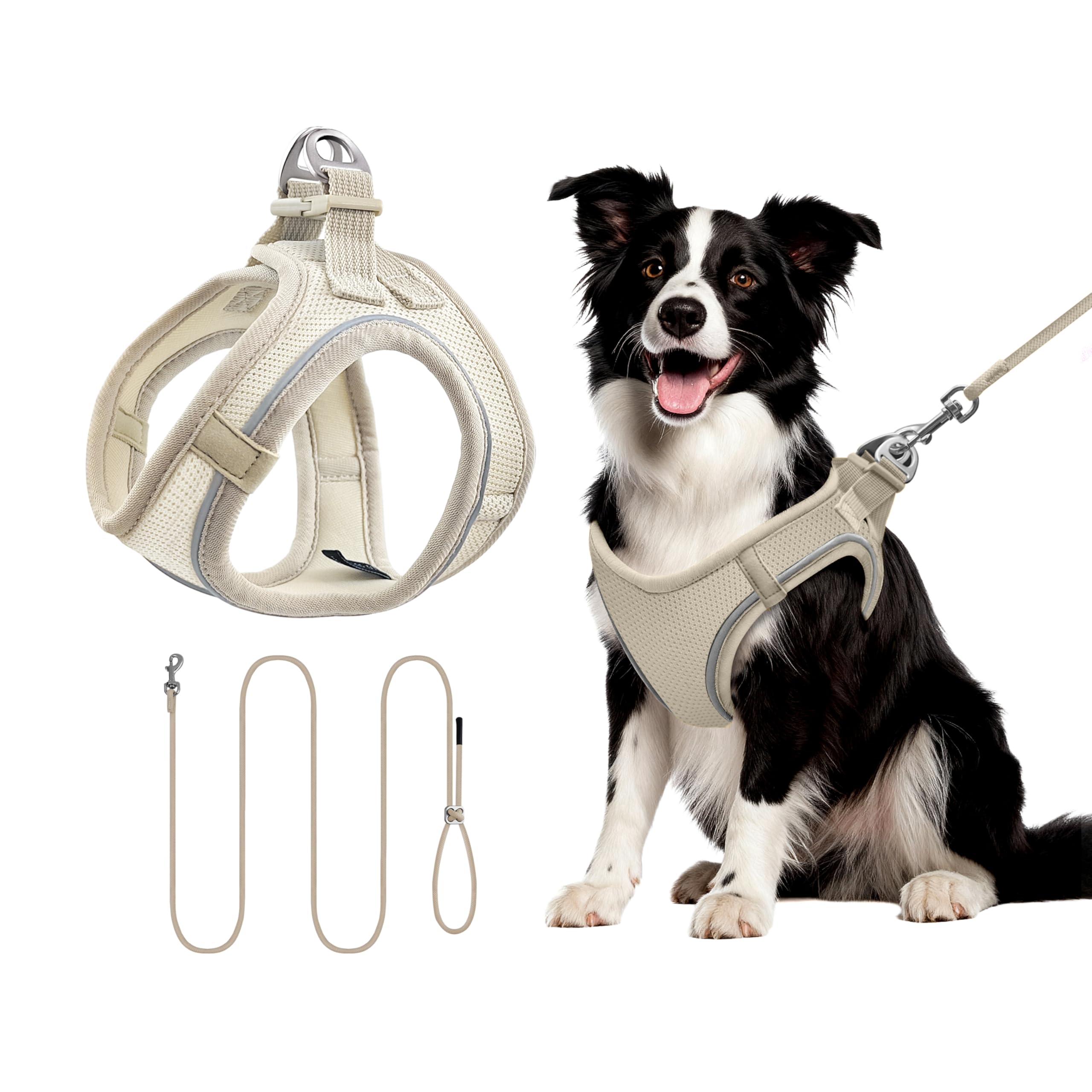 Qianruida Harness and Leash for Cat or Puppy - Adjustable Set in Soft Nylon, Secure Comfort for Walking, Training, Outdoor, Small Animals, Easy to Put On and Take Off, Beige, L