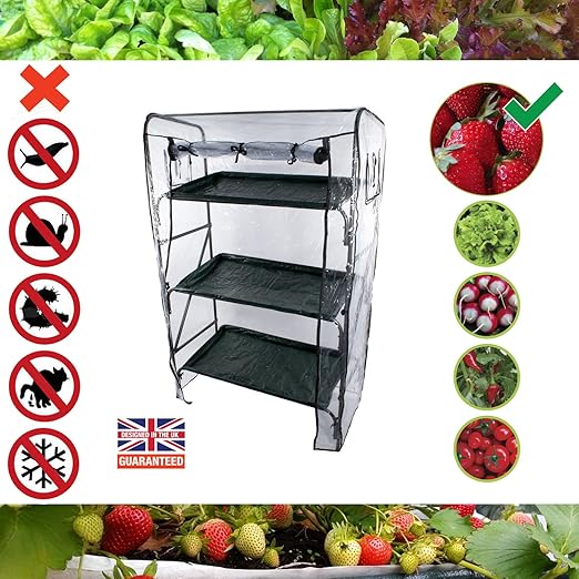 Granja en casa Roamwild, cultiva tus propios vegetales caseros ...