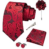 JEMYGINS Mens Paisley Tie and Pocket Square,Lapel Pin,Cufflinks,Tie Clip Sets with Gift Box 5PCS