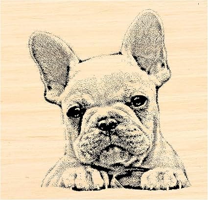 Amazon Com French Bulldog Rubber Stamp Wm P31 Arts Crafts Sewing