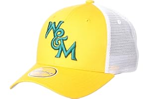 Zephyr Men's Adjustable Snapback Hat Big Rig