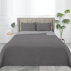 Easy-Going Twin Size Reversible Quilt Set with 1