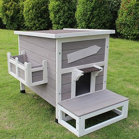 outdoor cat home