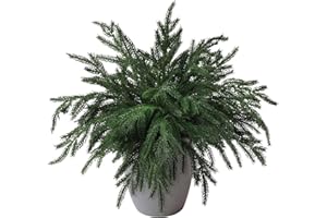 ZFProcess 10PCS Christmas Norfolk Pine Stems, Real Touch 15 Inch Artificial Norfolk Pine Branches, Fake Greenery Pine Picks for Vase DIY Holiday Winter Table Indoor Decor(Green)