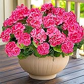 TURNMEON Artificial Geraniums Flowers for Outdoors, 4 Bundles Fake Geraniums Silk Flowers UV Resistant Faux Flowers Plants for Home Planter Gardens Table Porch Patio Cemetery Summer Spring Decor(Pink)