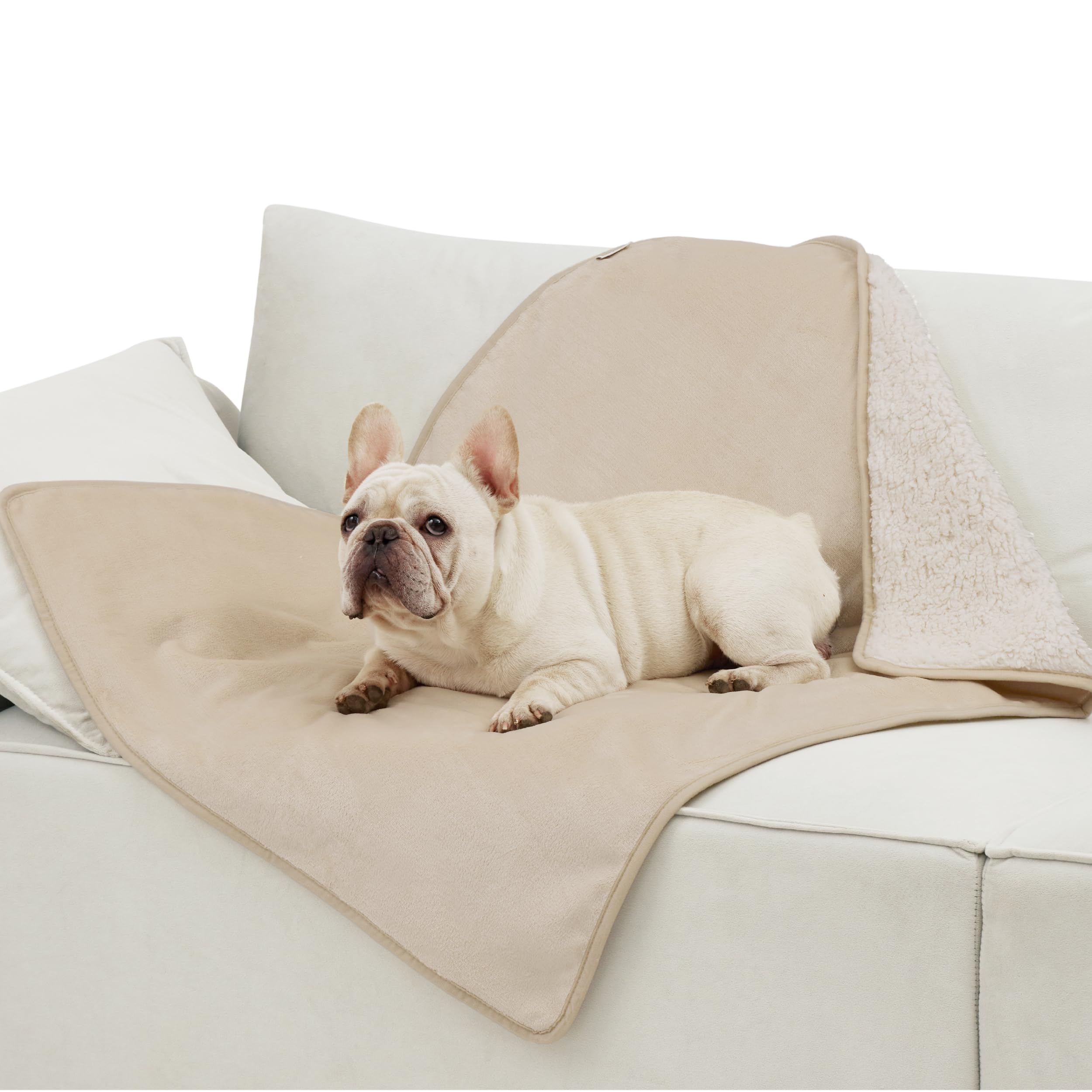LE SURE Waterproof Dog Blanket Washable - 100x80cm Fleece Pet Blanket For Medium Dogs and Cats, Personalised Kitten Throw Protects Bed and Sofa with Soft Plush, Cream