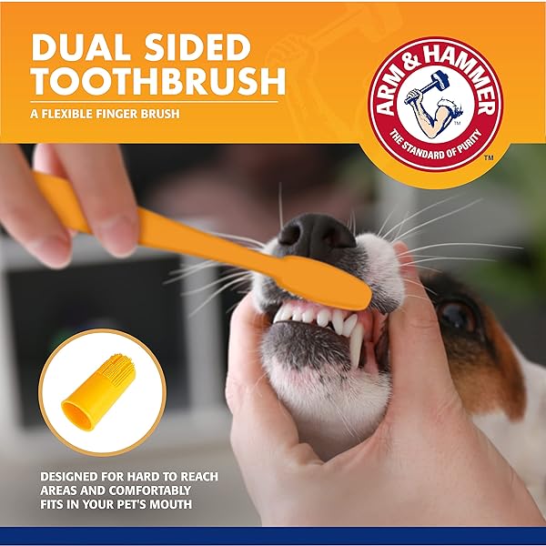 ARM & HAMMER FOR PETS DOG DENTAL CARE FRESH BREATH KIT | INCLUDES ARM & HAMMER BAKING SODA DOG TOOTHPASTE AND DOG TOOTHBRUSH | DOG PLAQUE REMOVAL KIT, MINT