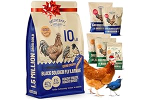 Hatortempt Black Soldier Fly Larvae - 10 lb - Calcium-Rich Chicken Feed Supplement - Treats for Laying Hens - Grubs for Chickens Training Rewards