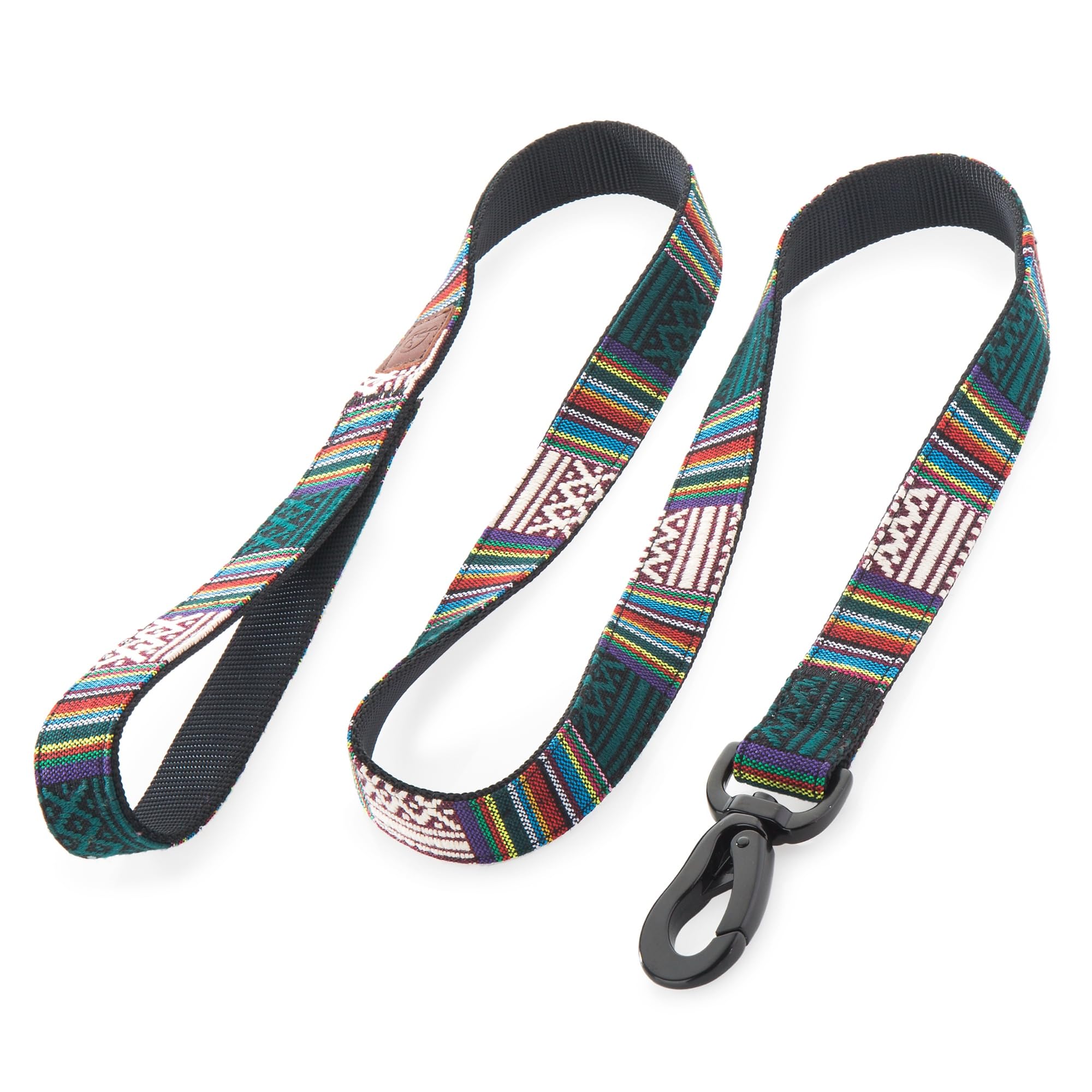 Embark Urban Dog Leash - Vibrant, Sturdy Nylon Leads for Small, Medium & Large Dogs - Heavy Duty, Training Lead