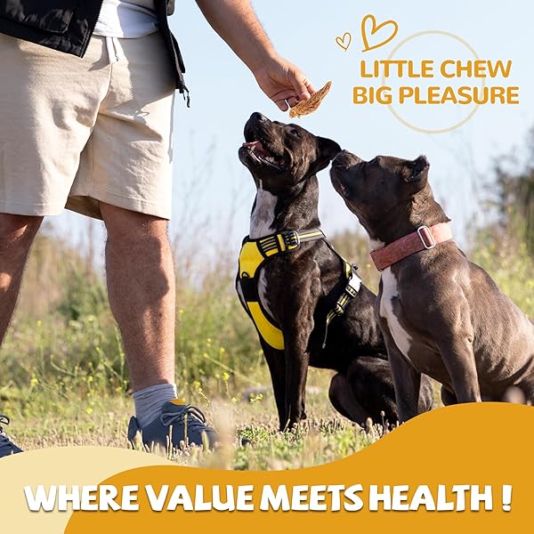 PAWUP CHICKEN JERKY DOG TREATS, LOWER MOISTURE CONTENT, HEALTHY PREMIUM CHEWY DOG JERKY TREATS, 10.6 OZ