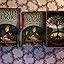 Earth Magic Oracle Cards: A 48-Card Deck and Guidebook: Steven D ...