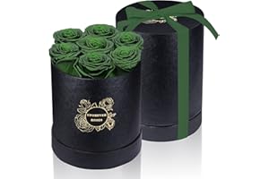 UFOREVER ROSES 7-Piece Preserved Roses in a Box, Preserved Flowers Gifts for Women, Mothers Day Flowers (Green)
