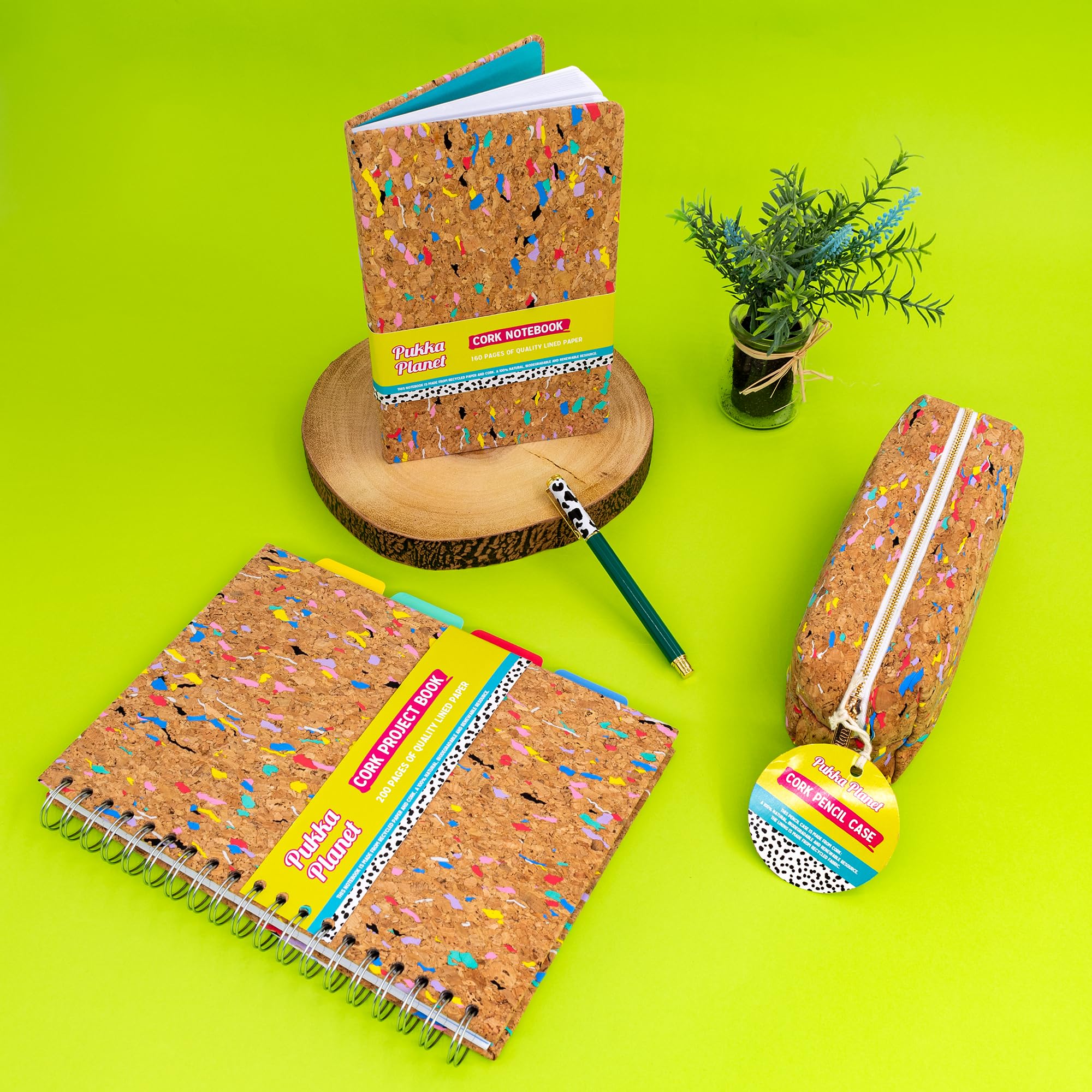 View 7