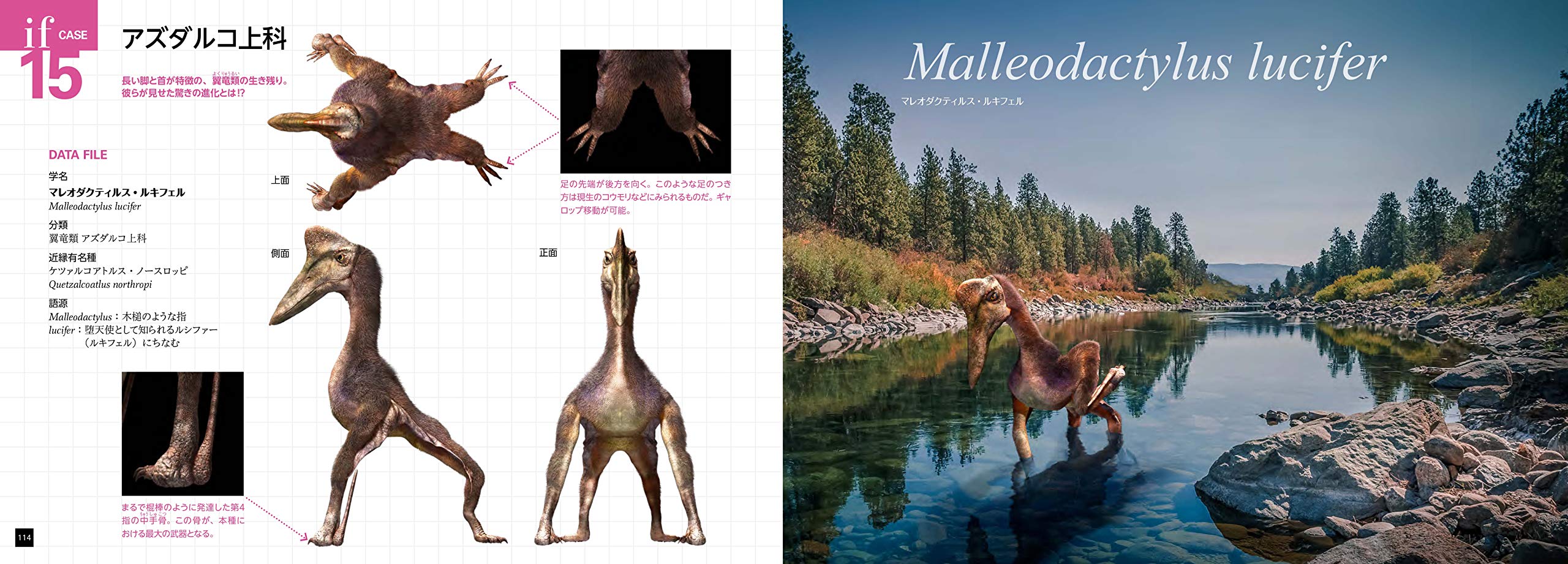 もしも 絶滅した生物が進化し続けたなら Ifの地球生命史 Graphic Voyage 土屋 健 藤原 慎一 椎野 勇太 服部 雅人 本 通販 Amazon