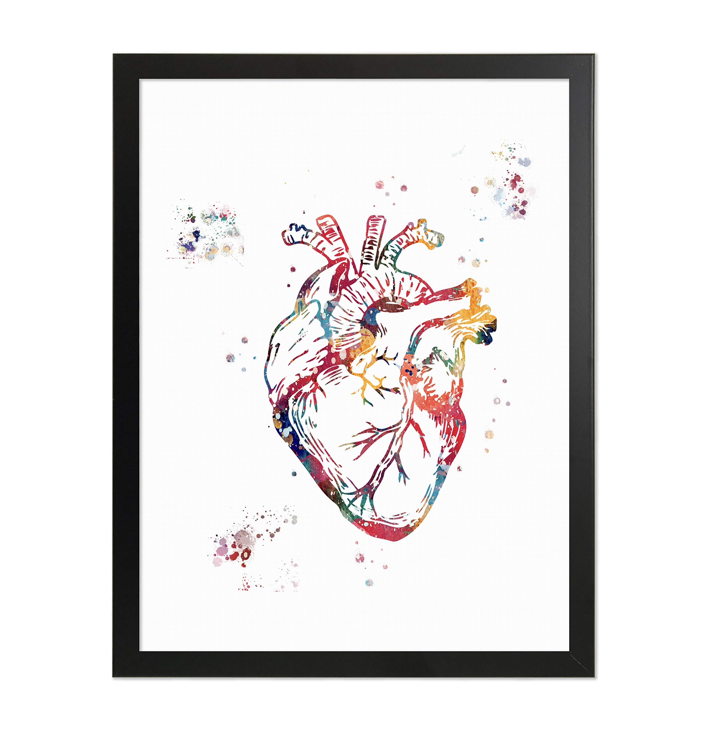 Mua Human Anatomy Watercolor Art 8x10 Unframed Print Set Brain Skull ...