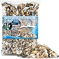 MAQIHAN Tiny Seashells for Crafts - Small Sea Shells Mixed Ocean Beach Shells Bulk for Home Decorations Wedding Decor Beach Theme Party Vase Filler (0.2-0.8 in, 314 Grams)