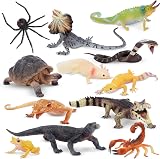 toymany 12PC Reptile Animal Figurines Set Cold Blooded Amphibians Jungle Lizard view 1