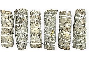 (Pack of 6)- Yerbero - Premium 4 Inch 3 California White Sage + 3 Blue Prairie Sage Wand Bundle. 6 Hand Tied Rolls Smudging Kit for Home Cleansing, Meditation. Purifying Ceremonial Ritual