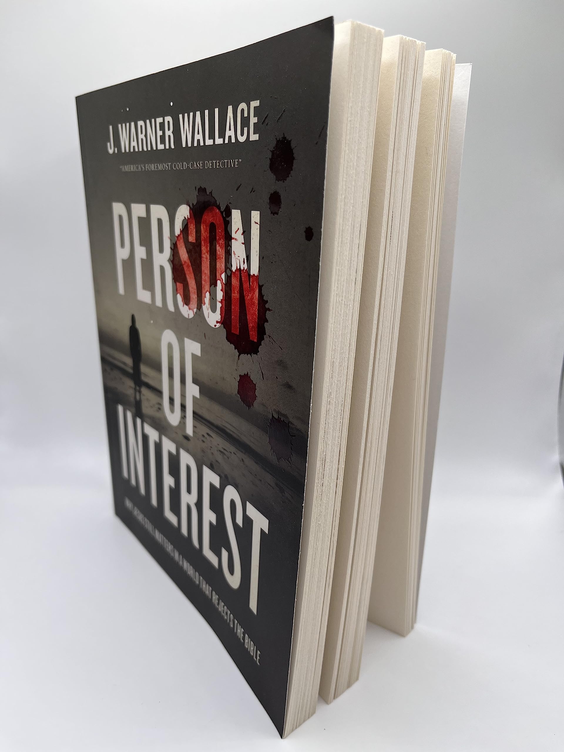 Person of Interest: Why Jesus Still Matters in a World that Rejects the Bible