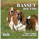 2026 Calendar, Basset Hound Dogs Monthly Wall Calendar 2026 Runs from Nov 2025 – Dec 2026, Hanging Wall Calendar, 11.6" x 24"Opened, Full Page Layout for Organizing, Perfect Present