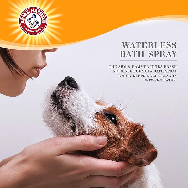 ARM & HAMMER FOR PETS ULTRA FRESH WATERLESS BATH SPRAY IN WHITE JASMINE SCENT | DRY DOG SHAMPOO, DEODORIZER