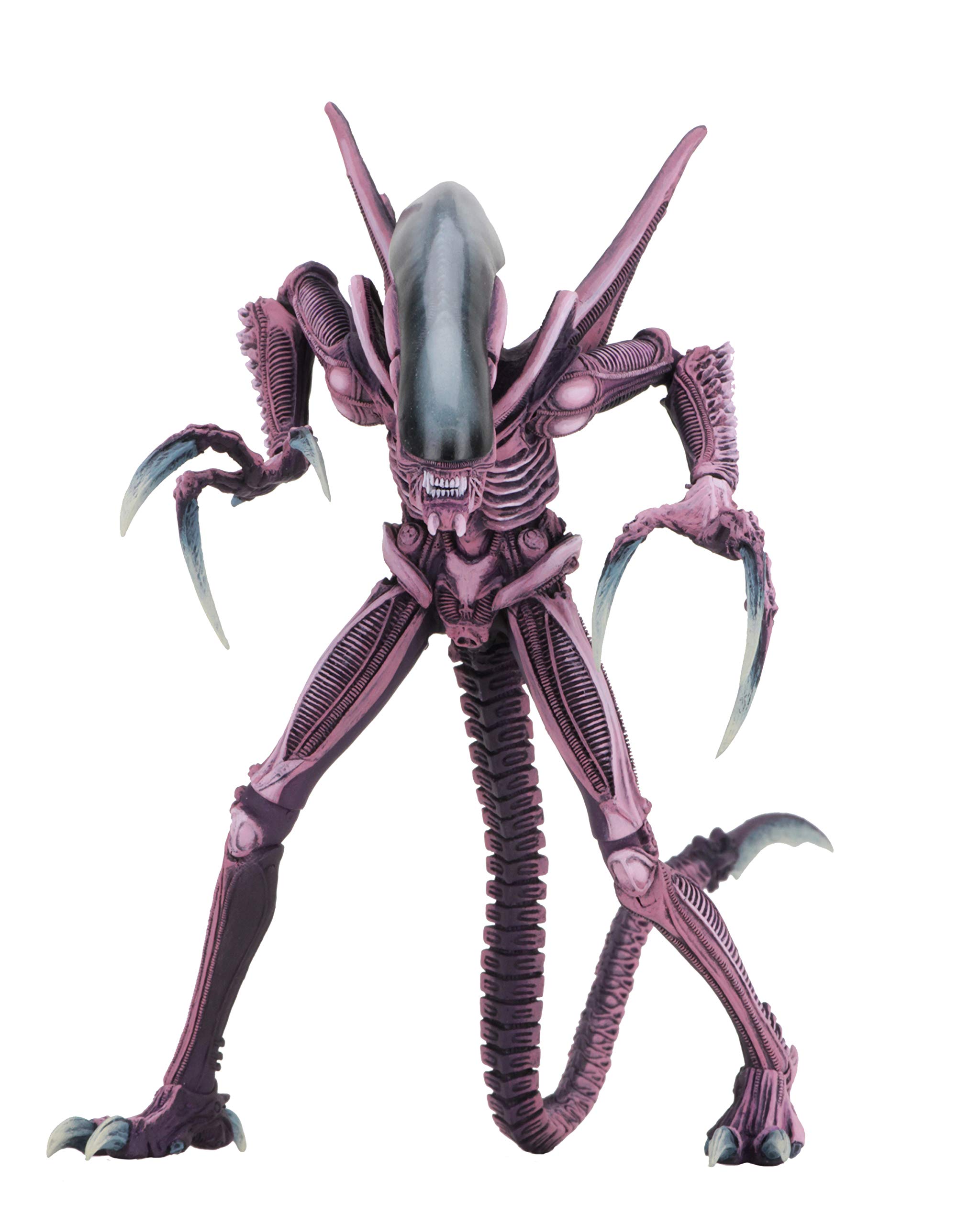xenomorph alien toys