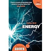 Energy: A Beginner's Guide (Beginner's Guides)