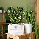 Wickerfield White Wash Small Wooden Box Gift Basket Storage Crate view 7