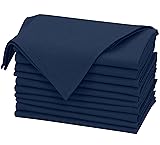 Ruvanti Linen Napkins Set of 12, 18x18 Cloth