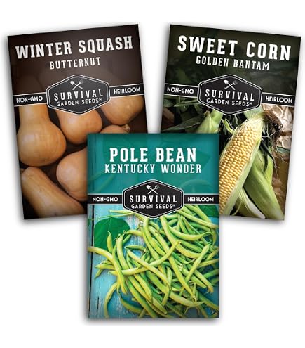 Amazon.com: Three Sisters Seeds for Planting - Companion Gardening