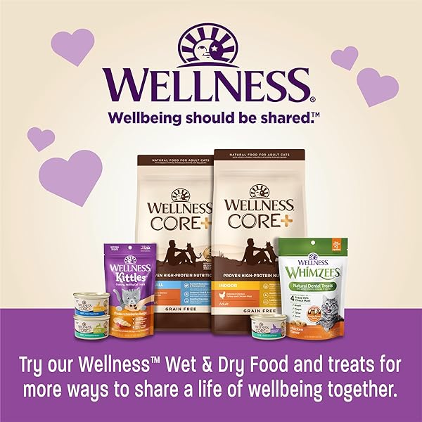 WELLNESS KITTLES CRUNCHY NATURAL GRAIN FREE CAT TREATS, SALMON & CRANBERRIES RECIPE, ALL LIFE STAGES, 2-OUNCE BAG
