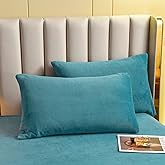 LweiPsqLin Velvet Pillowcases Standard Size,2 Pack Soft Color Pillow Shams Covers with Envelope Closure, Luxury Cozy Decorative Pillow Cases, No Filling (Standard, Teal Blue)