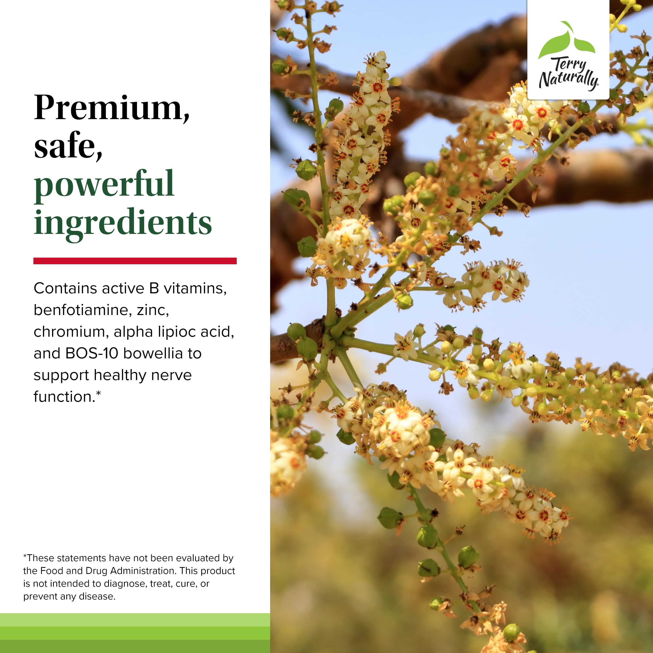 Terry Naturally Healthy Feet & Nerves - Herbal Supplement with Bioactive Vitamin B12 - Circulation & Nerve Health Support Supplement - Vegan Capsules with Boswellia Serrata - 60 Capsules