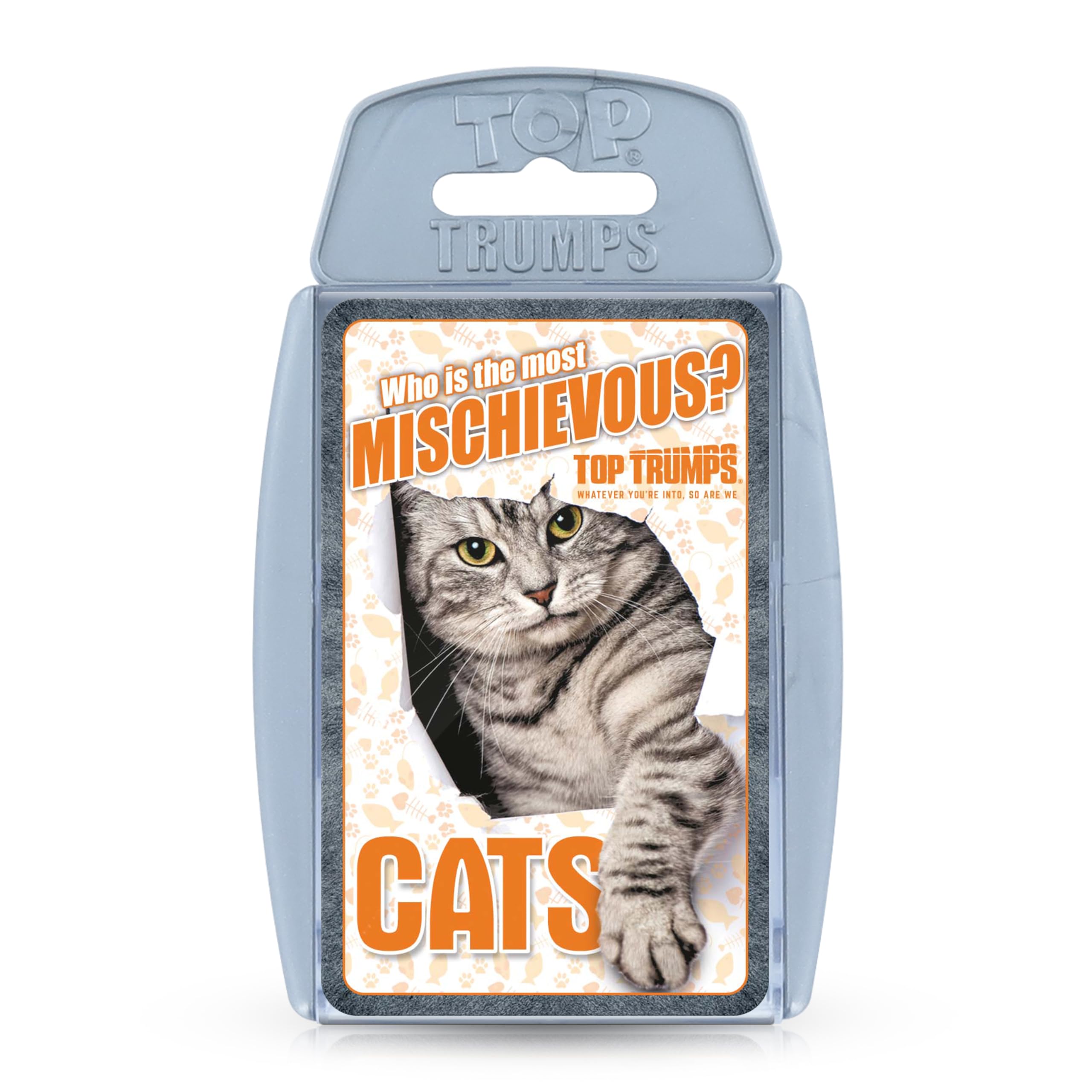 Top Trumps Cats Classics Card Game, learn about the Bengal cat, British Shorthair and the Siberian cat in this educational packed game, great gift for ages 6 plus