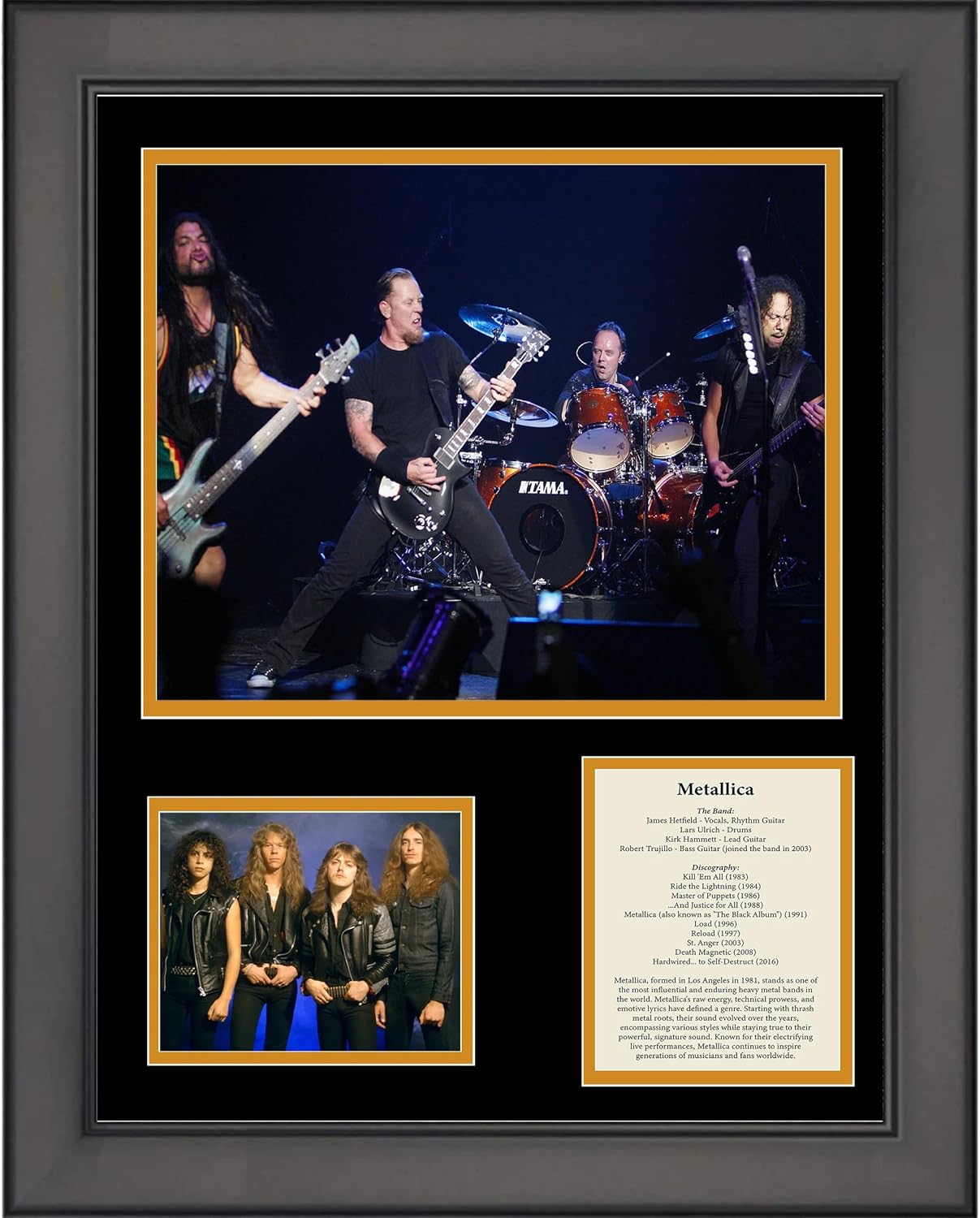 Photographs - Framed Metallica Band Members & Discography 12