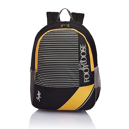 Skybags Bro 25 Ltrs Black Casual Backpack (BPBROEBLK)