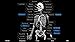 Skeletal Anatomy 3D - Quiz and Reference