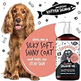 BUGALUGS Scottish Salmon Oil For Dogs & Cats 500ml view 4