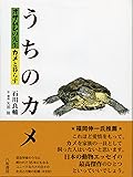 うちのカメ―オサムシの先生カメと暮らす