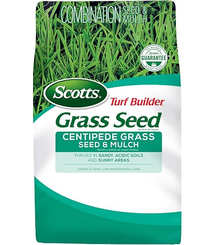 Centipede Grass Seed | Low Maintenance Lawn Grass | Hancock Seed