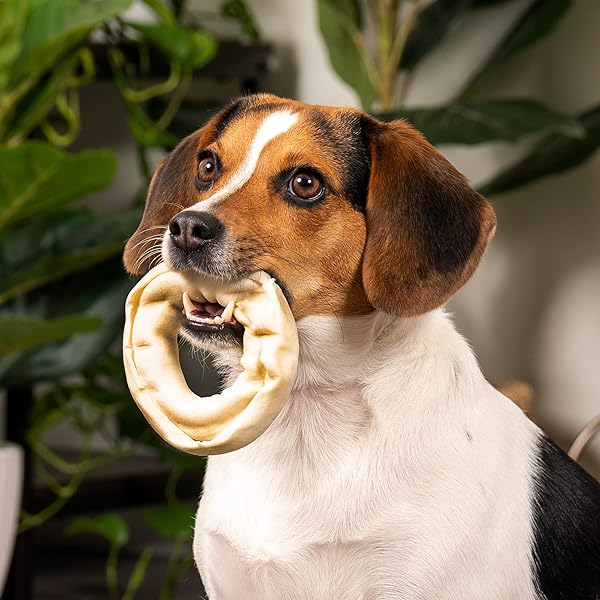 PET FACTORY AMERICAN BEEFHIDE 3-4″ DONUTS DOG CHEW TREATS – NATURAL FLAVOR, 8 COUNT/1 PACK