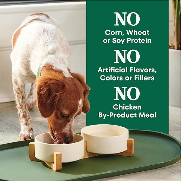 NUTRO NATURAL CHOICE SMALL BREED SENIOR DOG FOOD DRY CHICKEN & BROWN RICE RECIPE, DRY DOG FOOD SMALL BREED, 5 LB. BAG