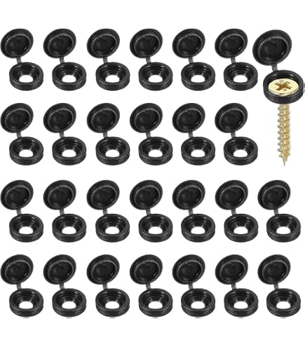 10-Pack Chrome Plastic Snap-On Screw Covers For 1/4" Dashboard Screws – Trucks & Semis