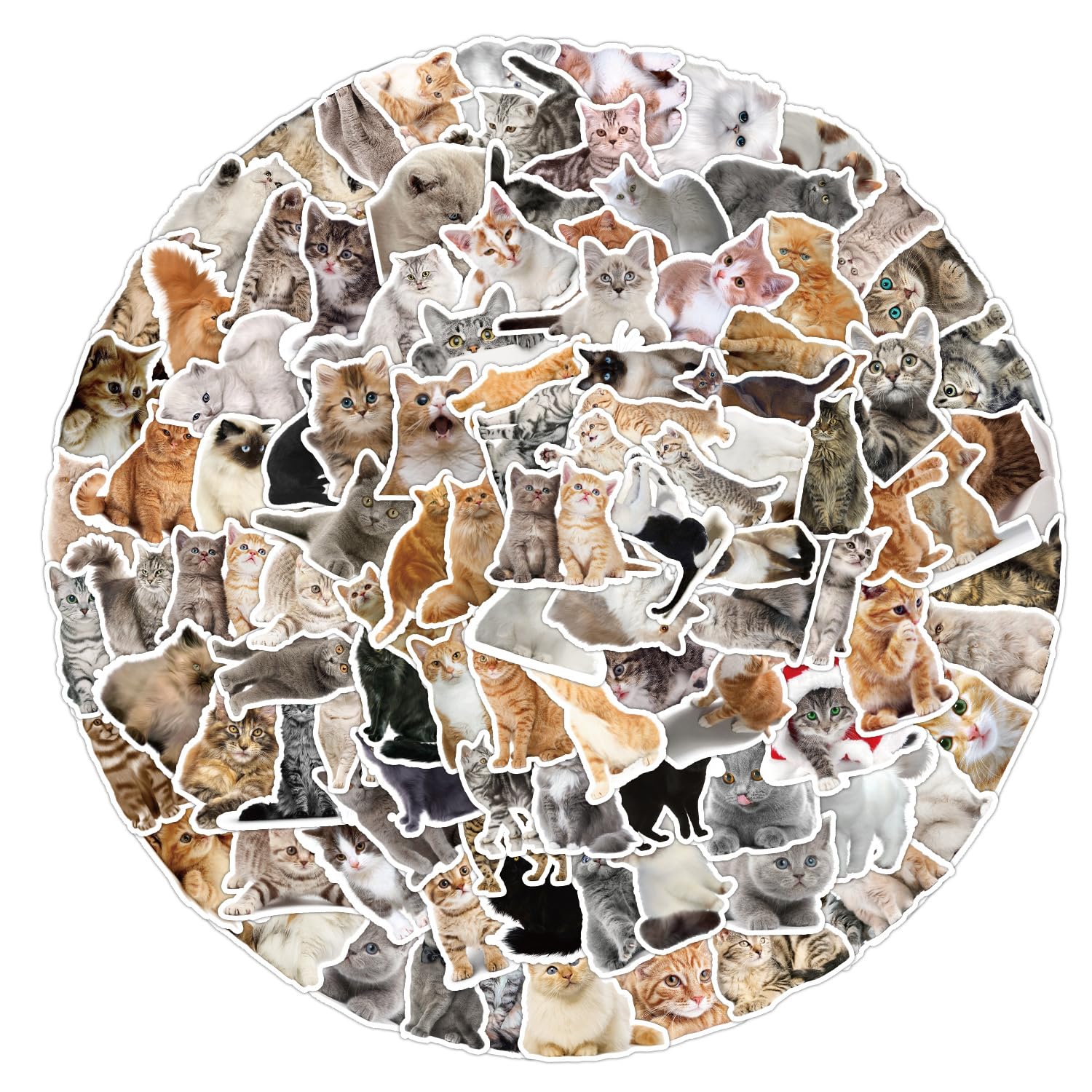 100Pcs Cartoon Cat Stickers for Kids Teens Boys Girls Gift,Cat Stickers Pack for Laptop,Skateboard Luggage Car Bike Cup Computer Water Bottle Decor,Aesthetic Vinyl Waterproof Sticker Decal